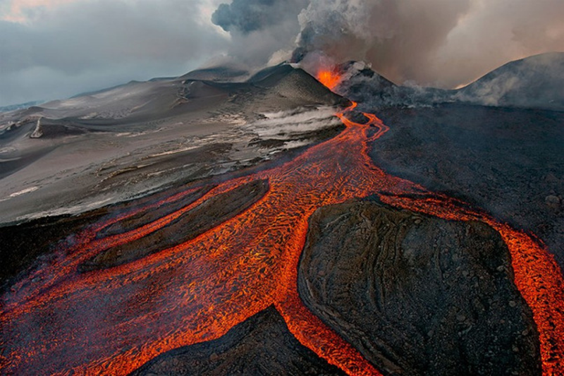 Illustration for article titled The year's best wildlife photography will make you roar